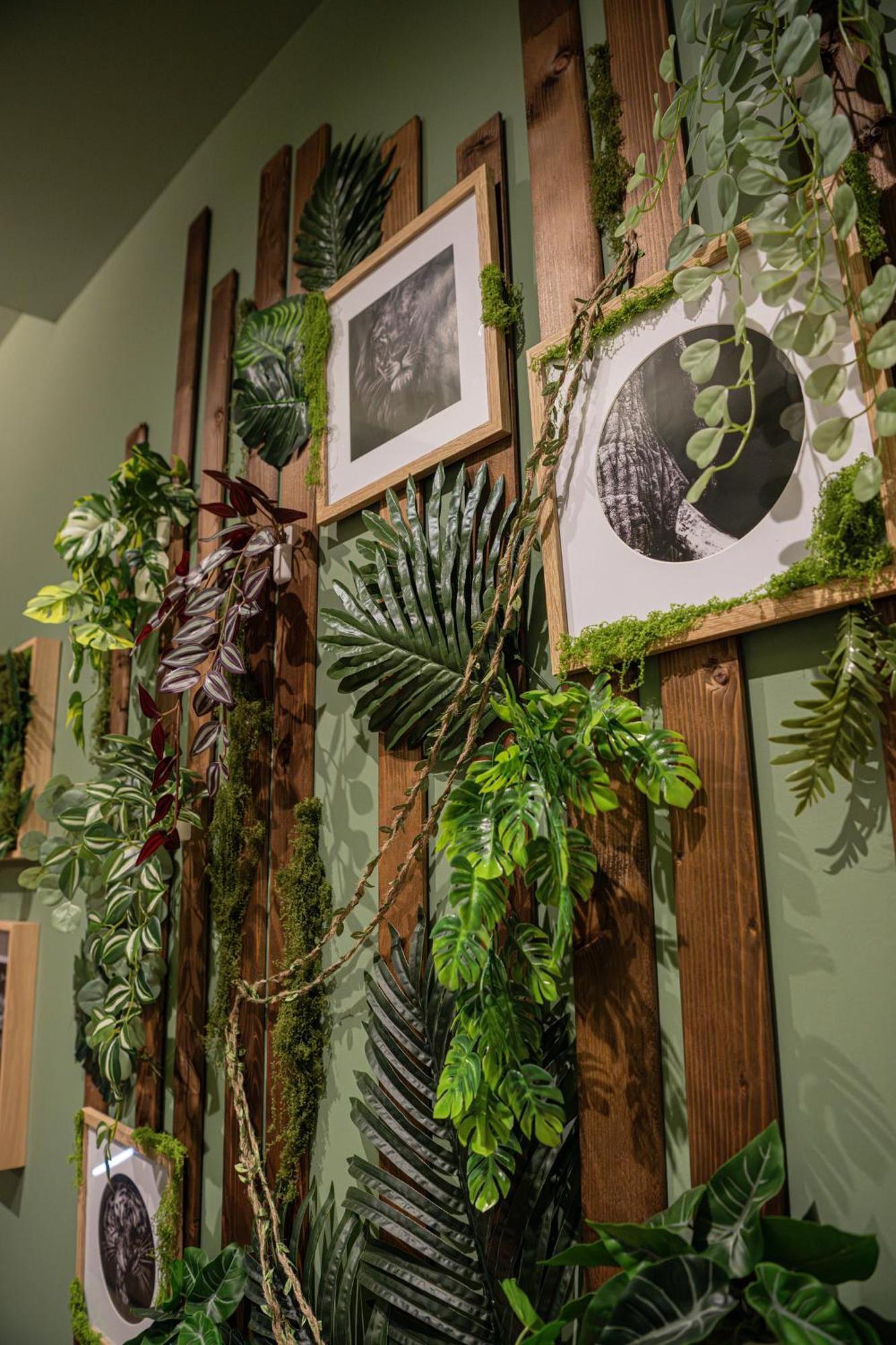 Secret Jungle - Love Room By Prim0 C0Nciergerie Royat Extérieur photo