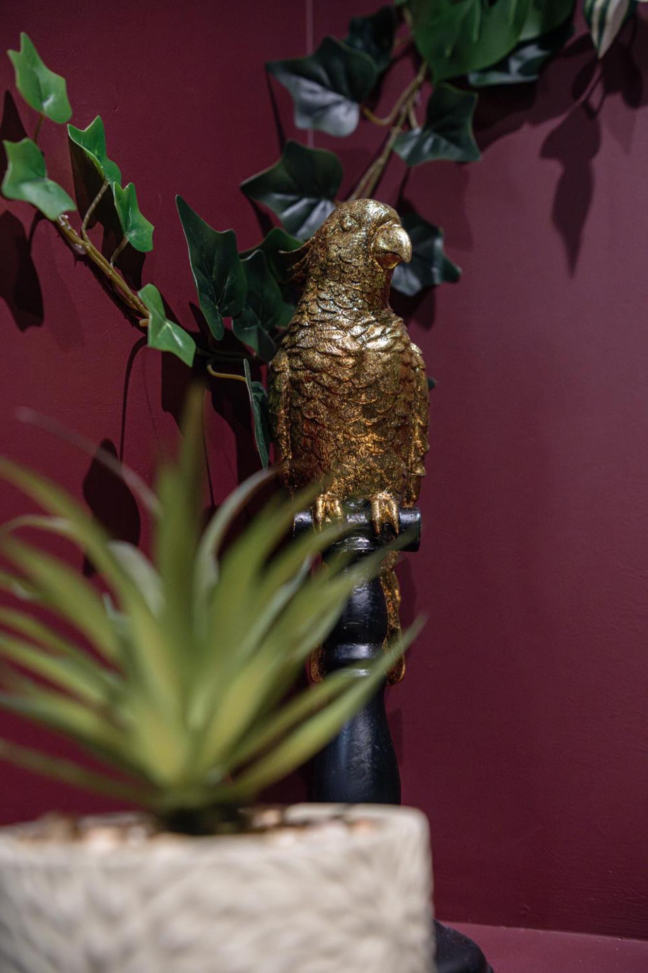 Secret Jungle - Love Room By Prim0 C0Nciergerie Royat Extérieur photo